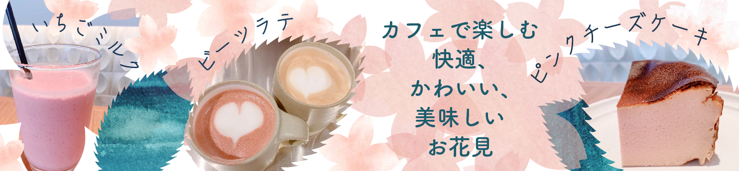大阪市谷町のカフェ-ビオタカフェ-銅座公園横のカフェ-さくら